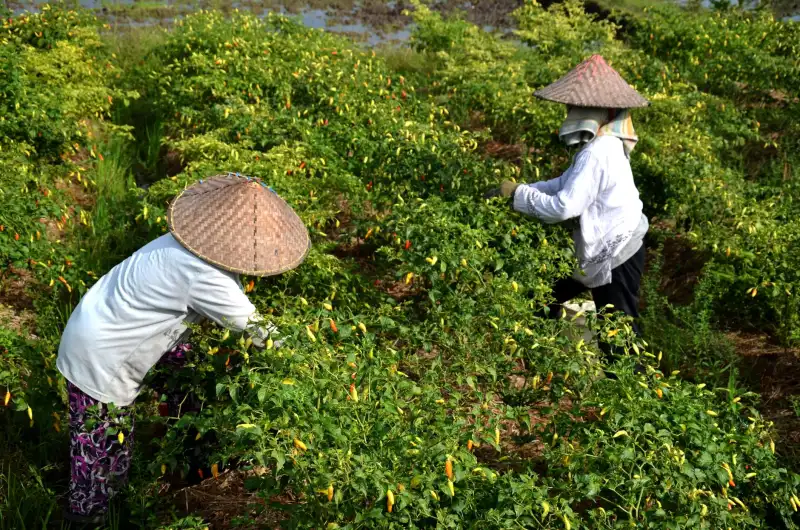 2025年夏凉被行业技术升级趋势与新材料应用分析